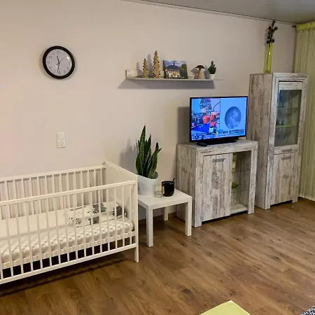 Ammonit * Pottenstein